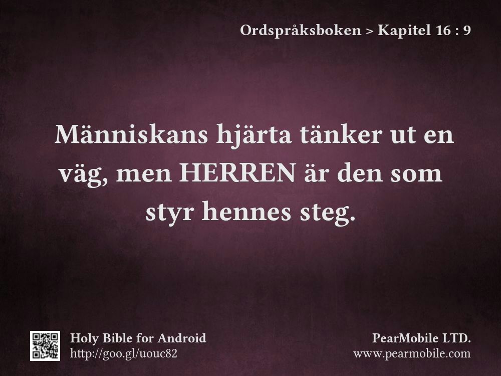 Ordspråksboken, Kapitel 16:9